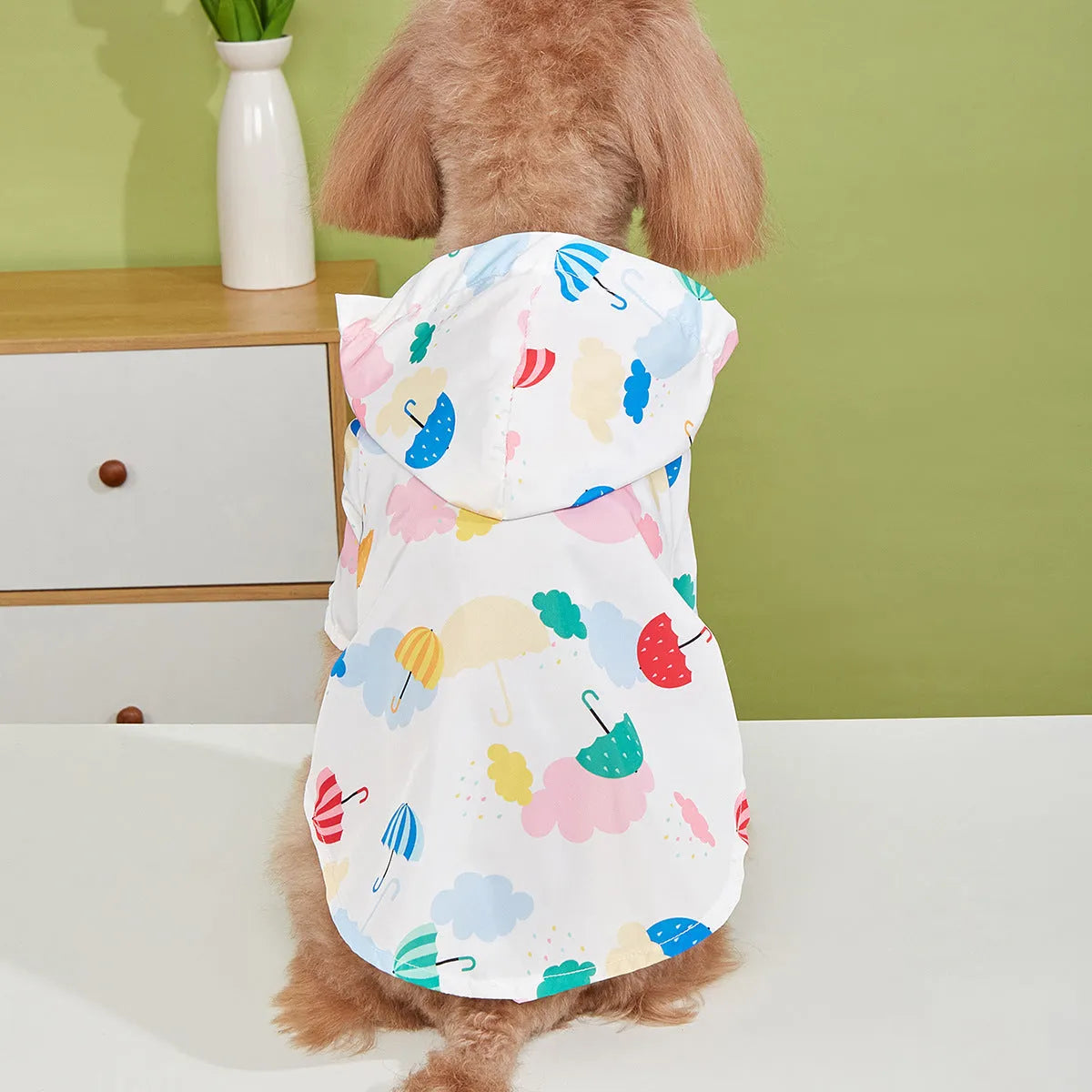 Cartoon umbrella pattern dog raincoat in colourful design with polyester fabric
