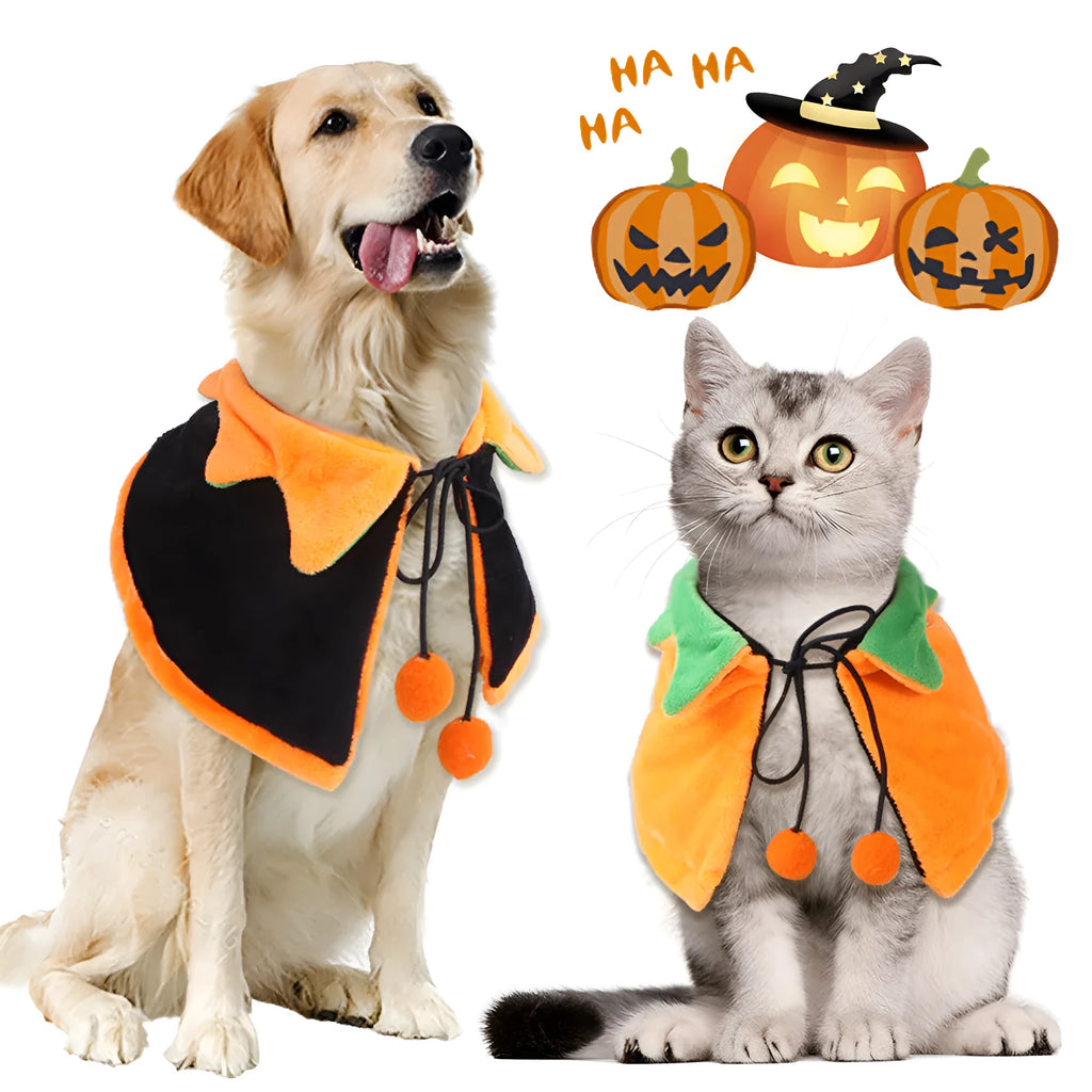 Orange plush pumpkin cloak with hood for a dog on Halloween