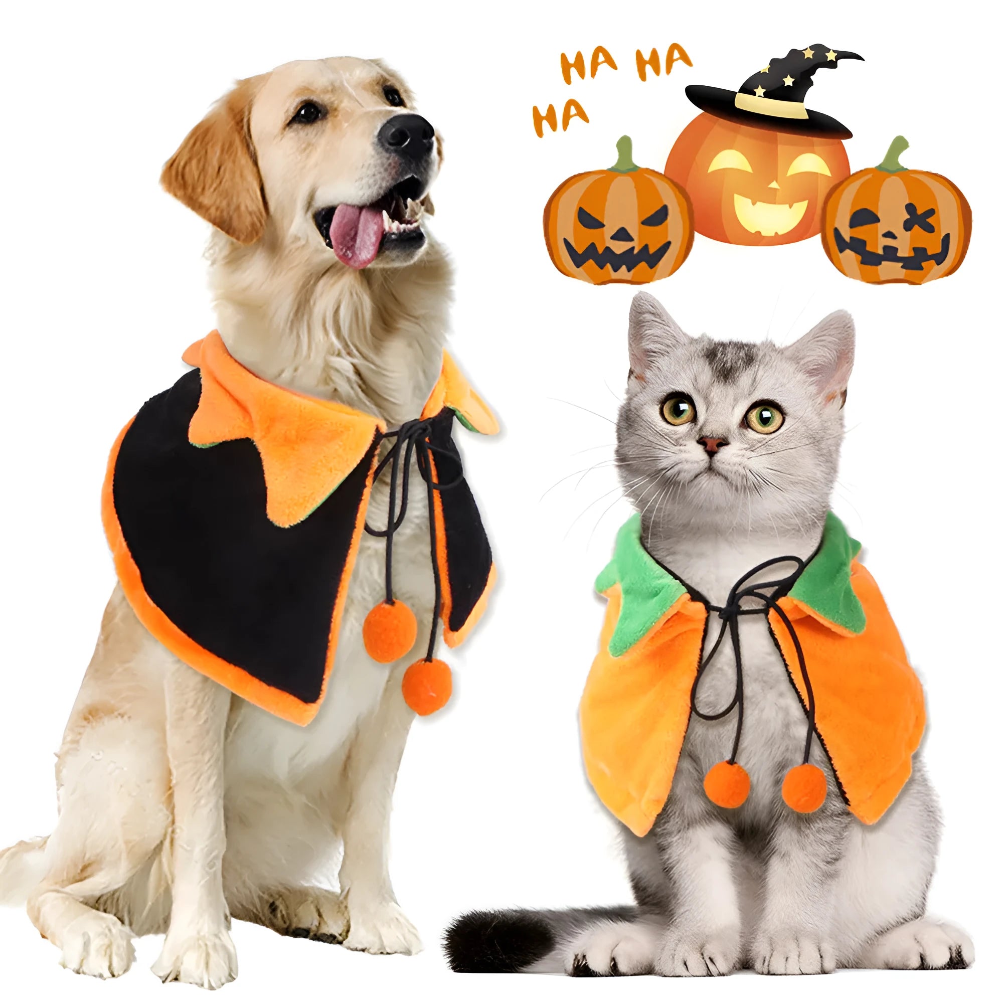 Orange plush pumpkin cloak with hood for a dog on Halloween