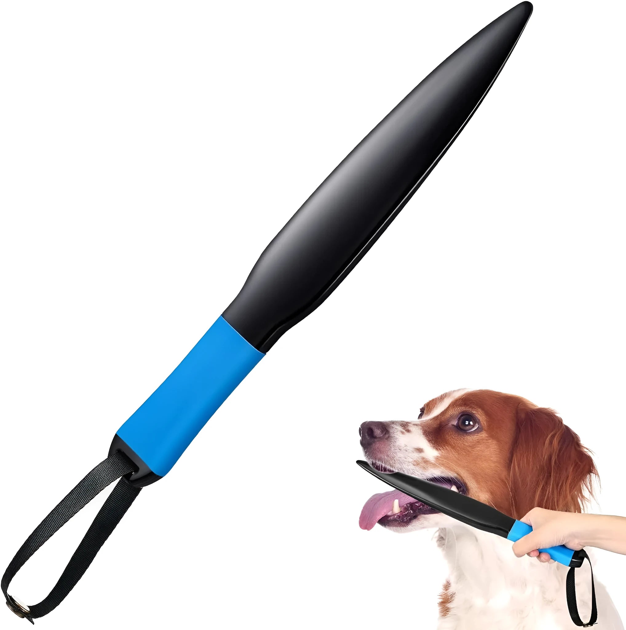 Blue-handled nylon dog break stick measuring 35 cm for small to medium dog training