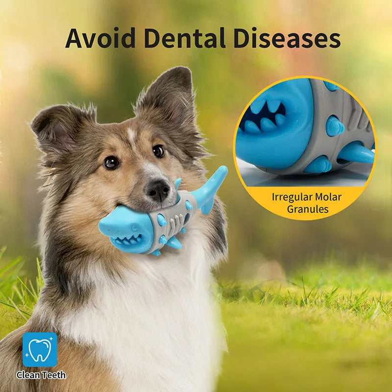 Blue shark tooth dog teething toy with textured cleaning surface