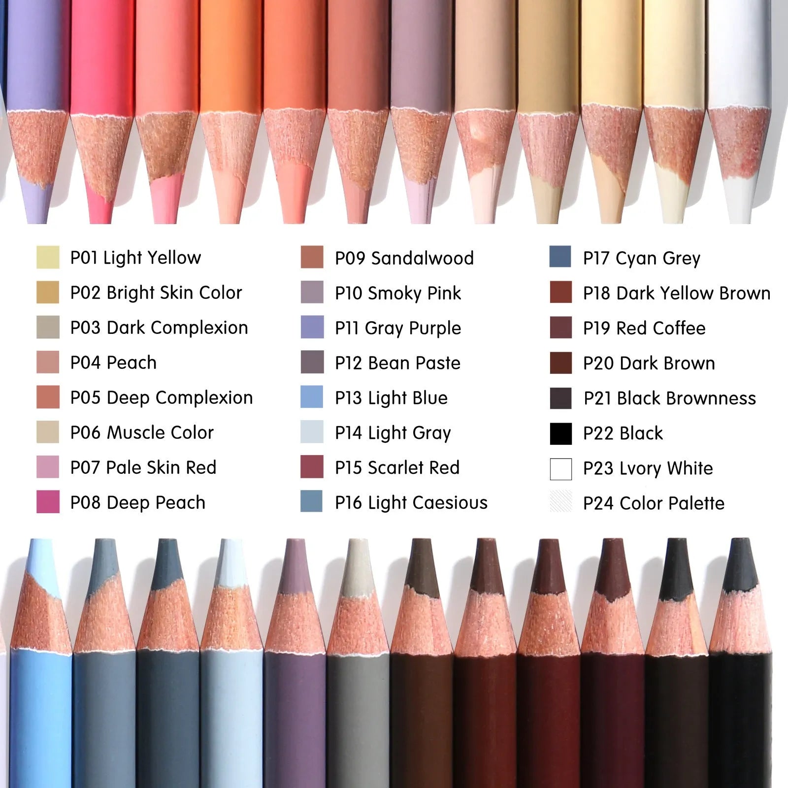 24 skin colour portrait drawing pencils in iron box case with round brush pot