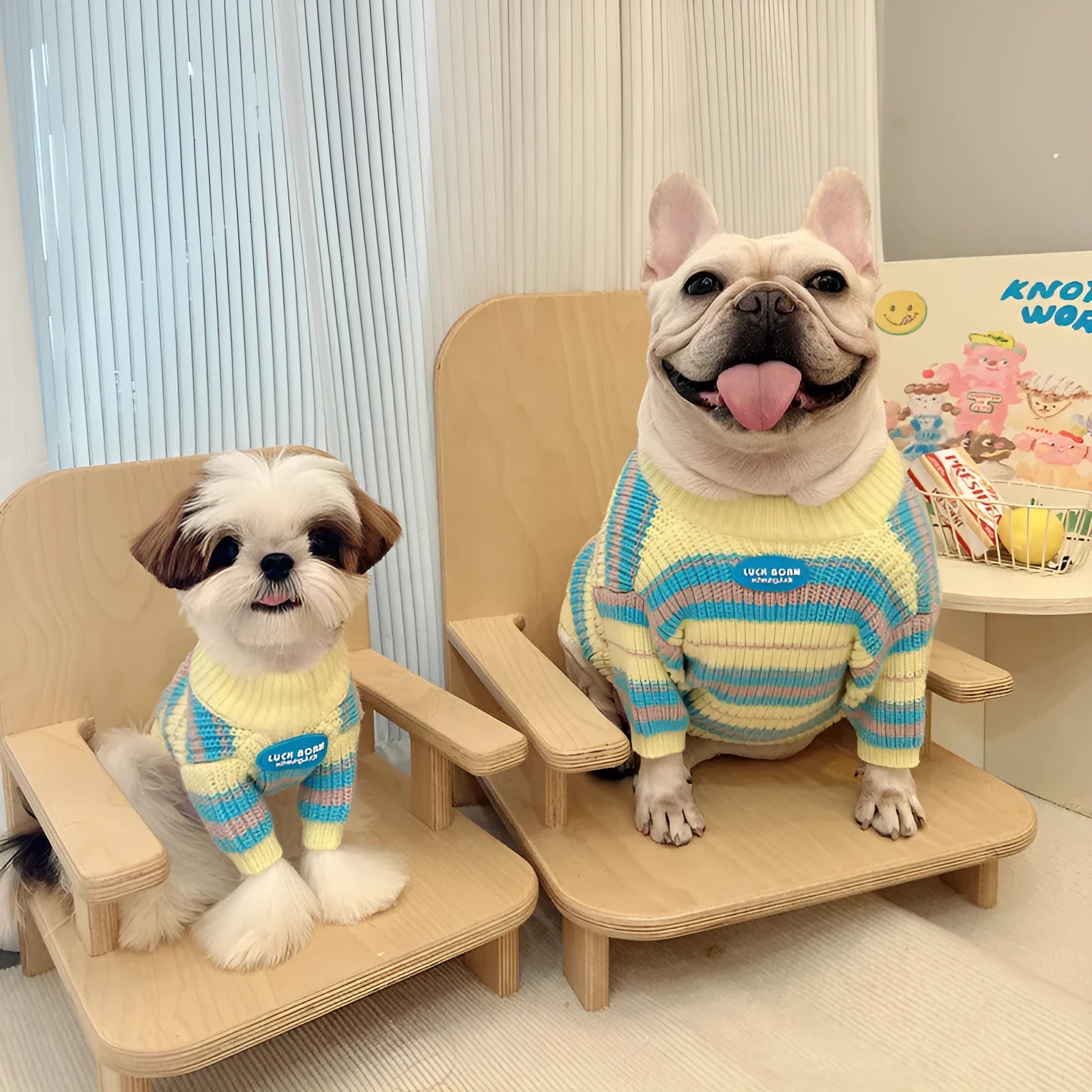 Blue and yellow striped wool dog sweater for small breeds in casual style
