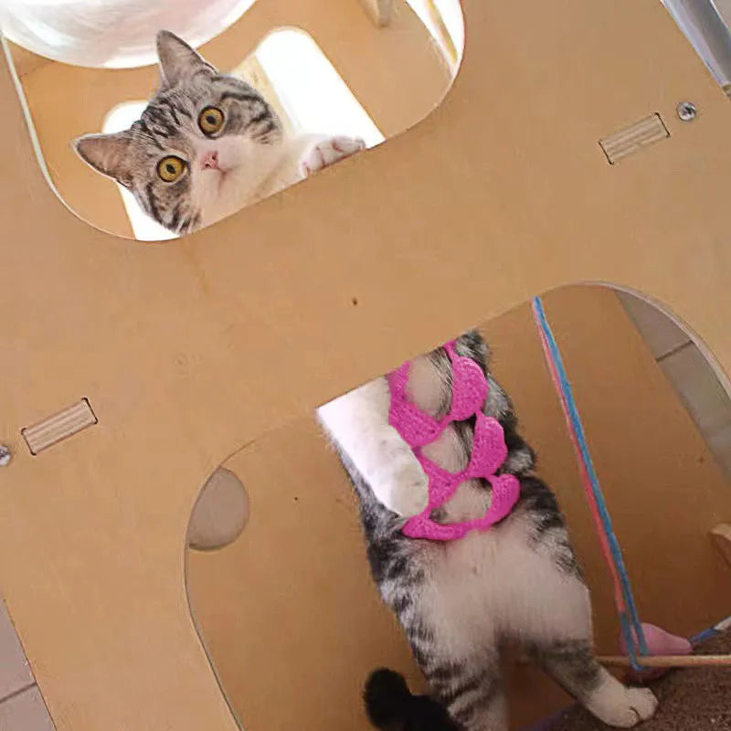 Cat wearing a bikini costume set in a choice of colours for Halloween or party dress-up.