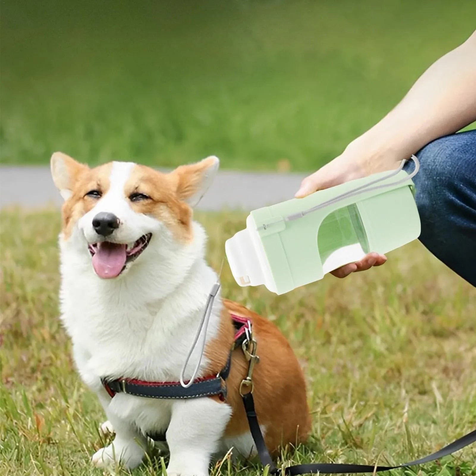 Green portable pet water bottle and food feeder with attached lanyard, showing transparent cup design.