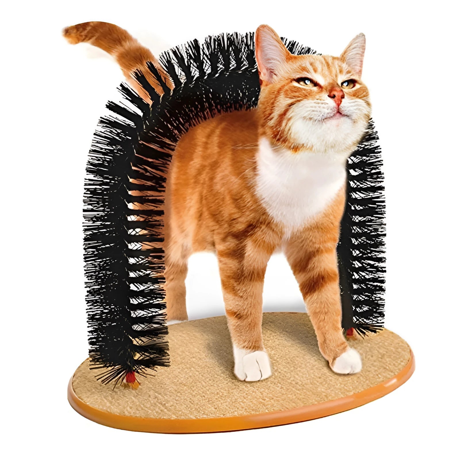 Arched cat grooming toy with built-in brush bristles for scratching and rubbing