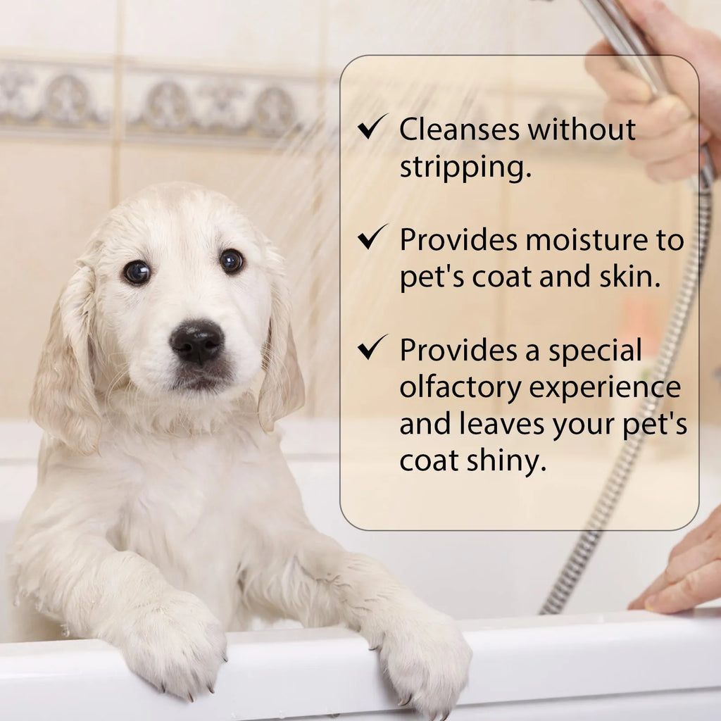 Mild pet shampoo bottle for cats and dogs in 100ml and 300ml sizes