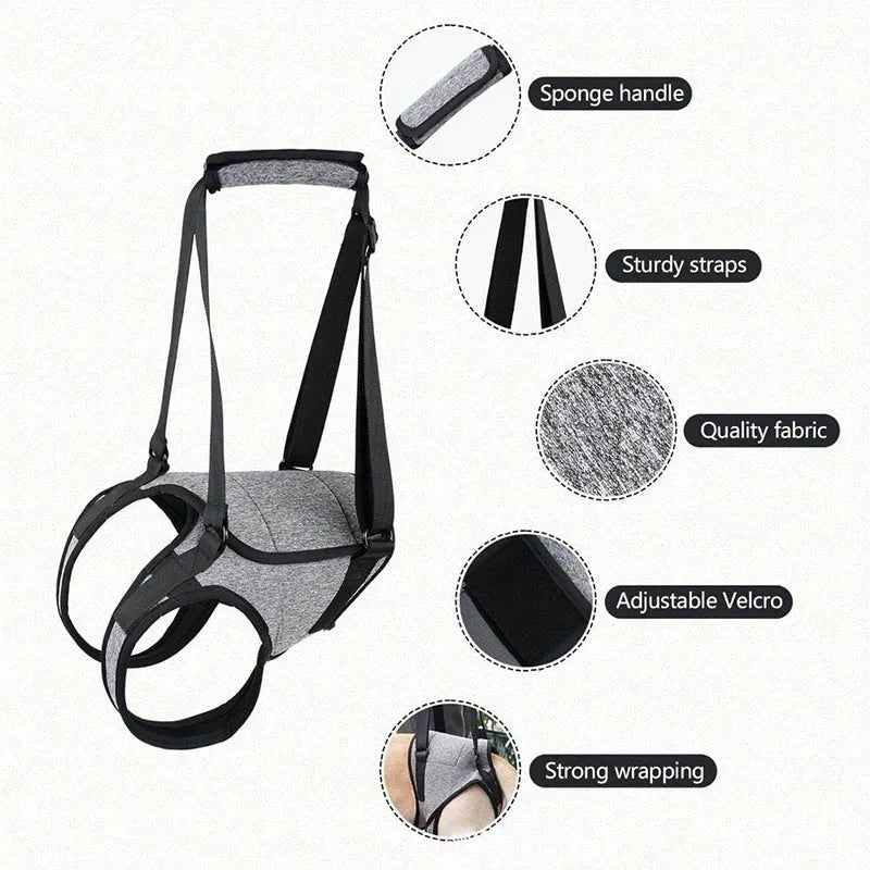 Grey neoprene dog rear leg recovery belt with adjustable straps shown on size chart