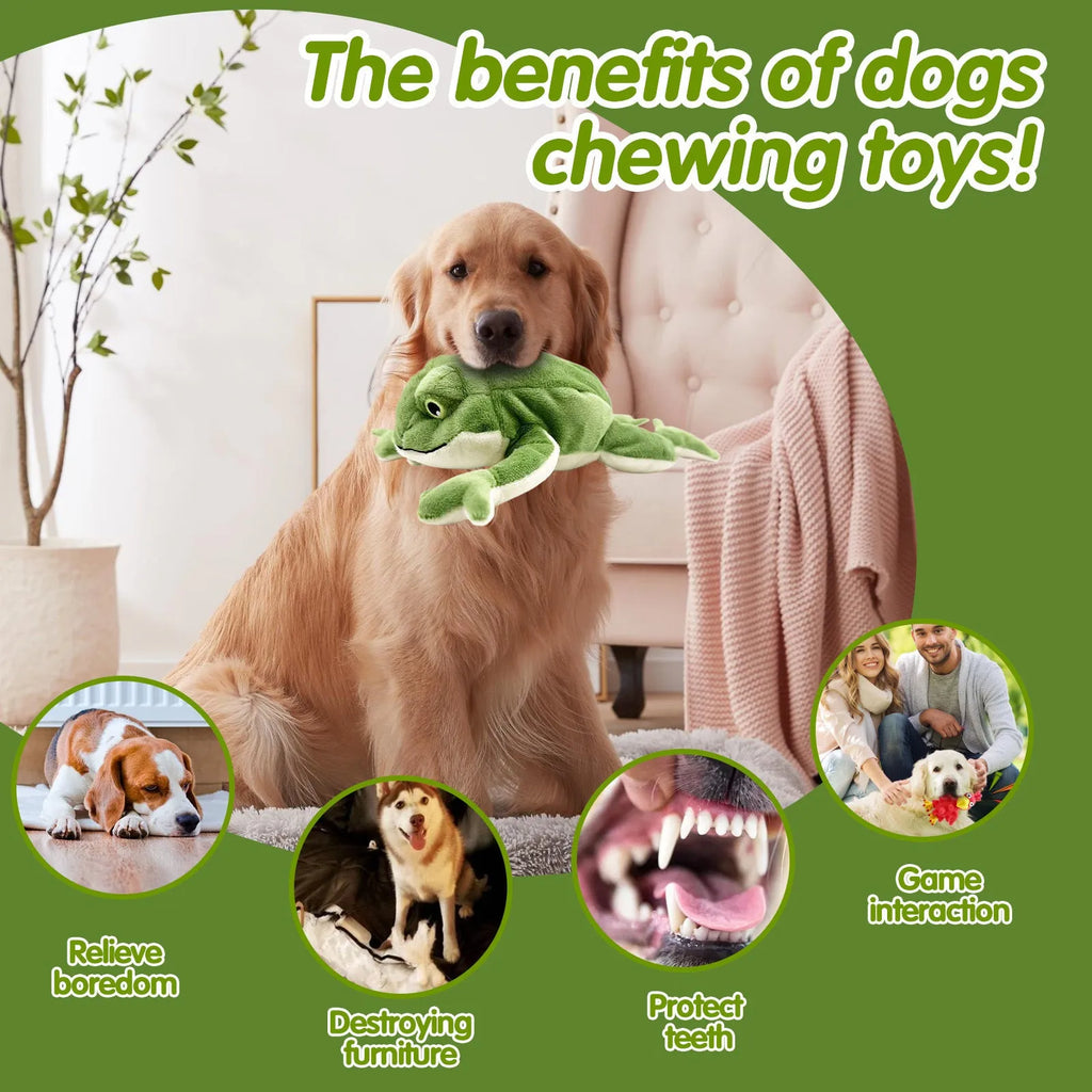 Green pet plush toy sound bite-resistant 27 cm dog toy for Golden Retrievers