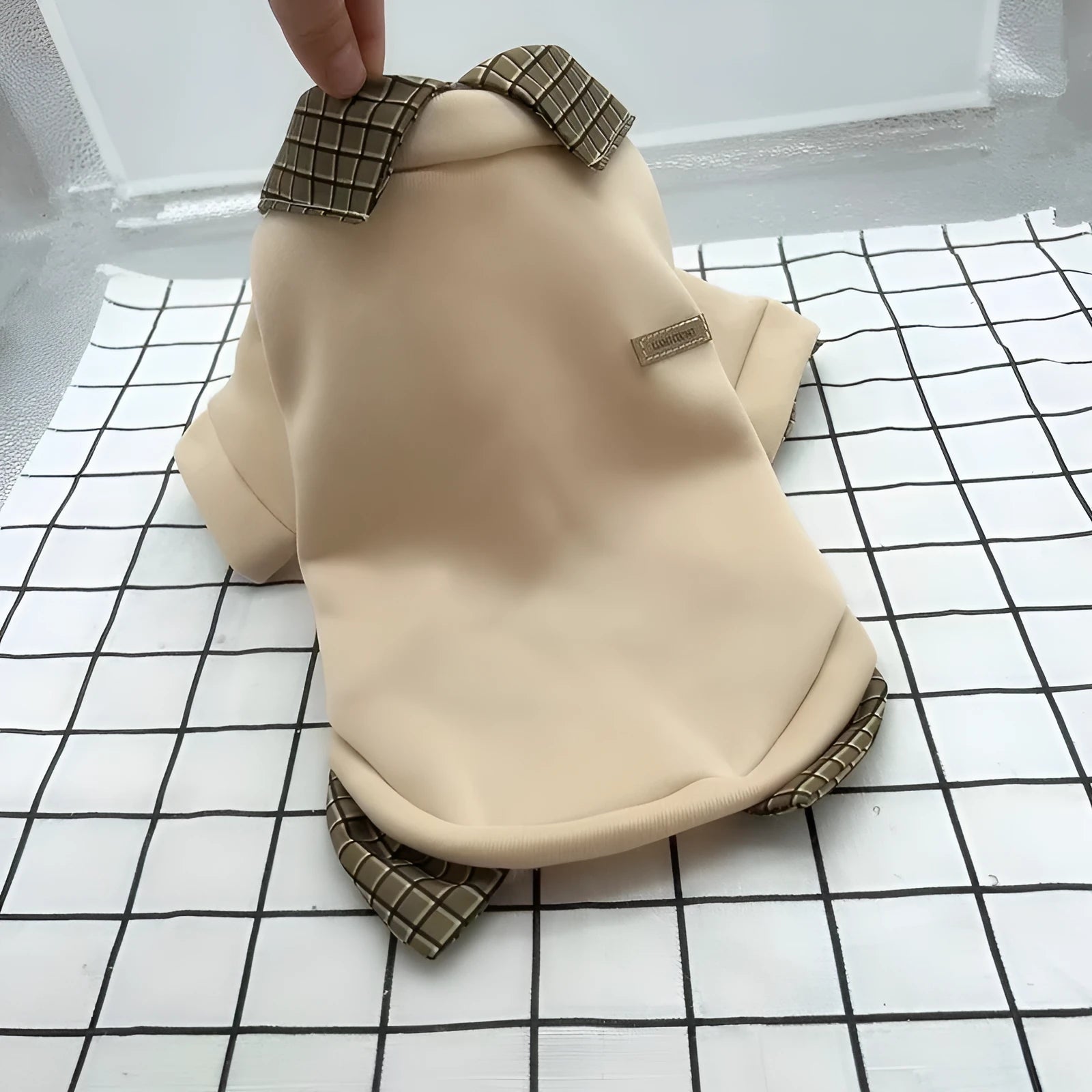 Grey dog jumper with detachable collar hood on small breed dog