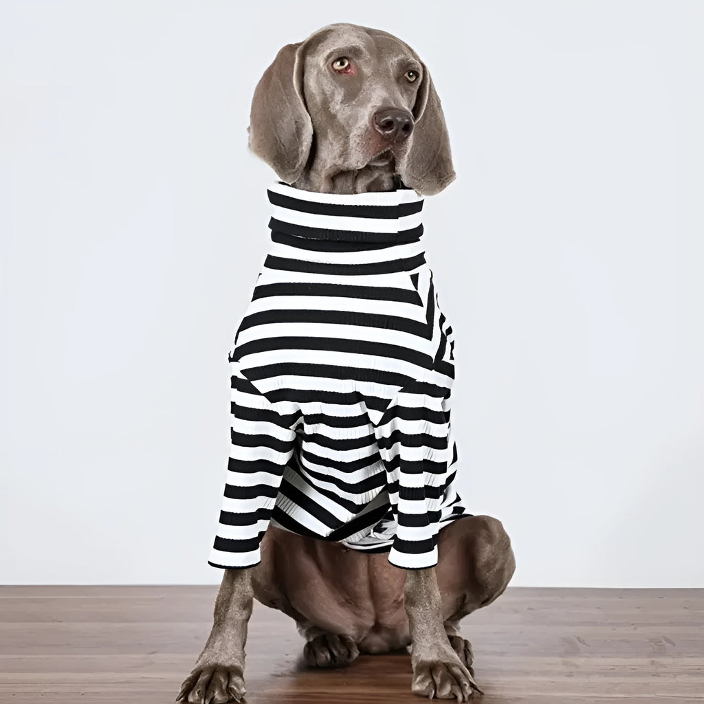 Black and white thin polyester inner layer dog clothing for large breeds, showing size tags M to XXXL.