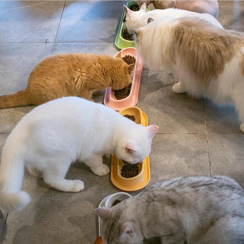 Green leakproof pet bowls with non-slip rubber bases, set of two for dog and cat feeding