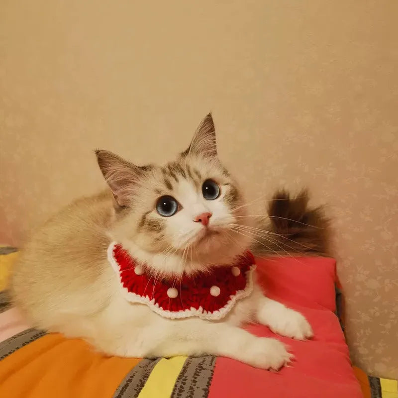 Cartoon pattern wool knitted collar for pets in four sizes with milk cotton construction