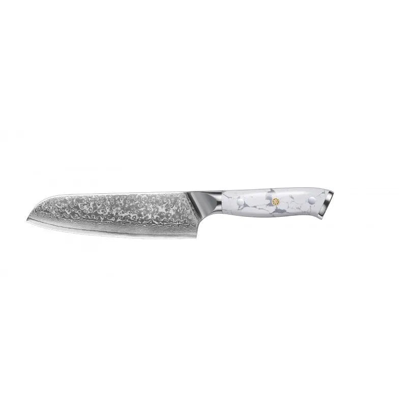 Damascus pattern VG10 steel chef knife with 21cm blade and 11cm handle for kitchen use