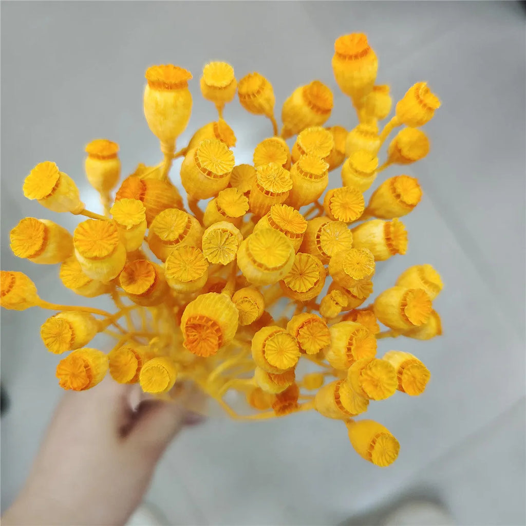Dried flower Yu Meiren fruit DIY material bundle in multiple colours for corsage and headdress making