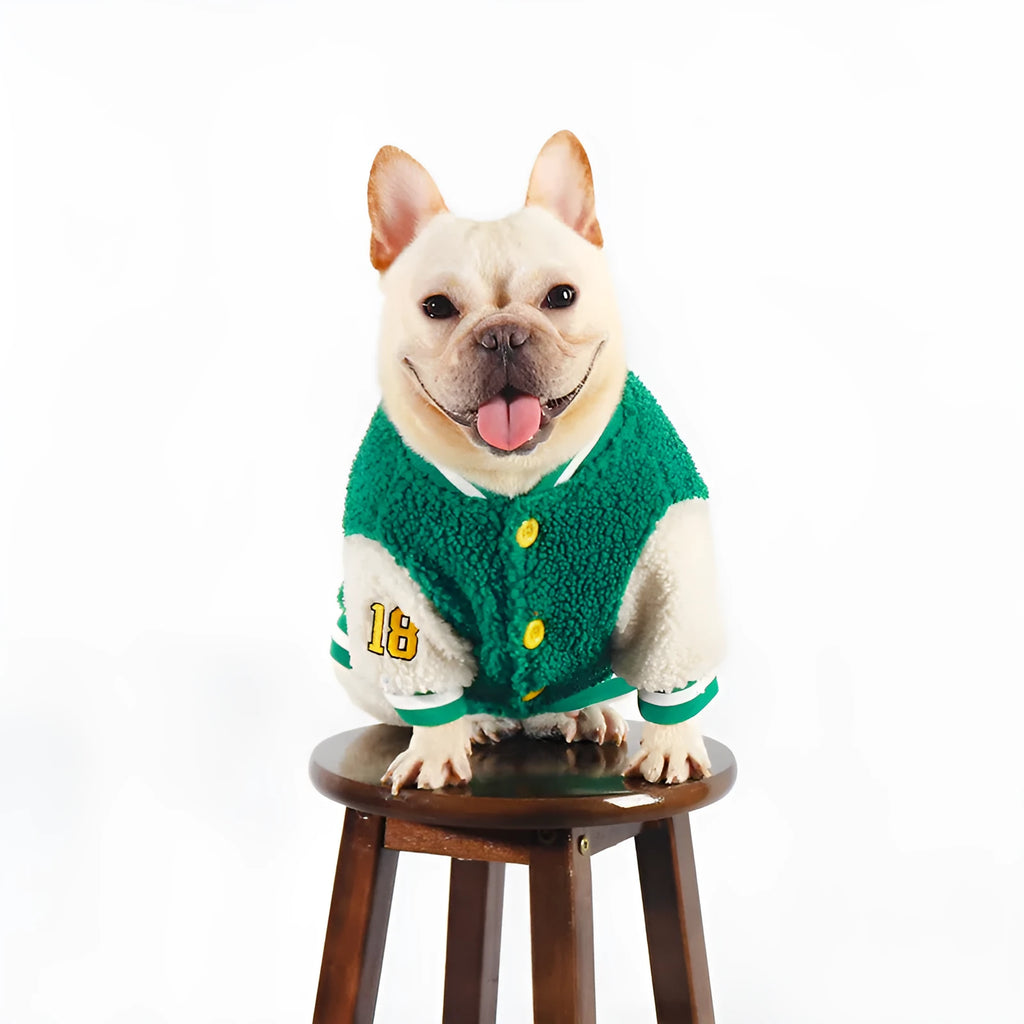 Green fleece-lined winter coat for dogs on larger breed in cotton fabric
