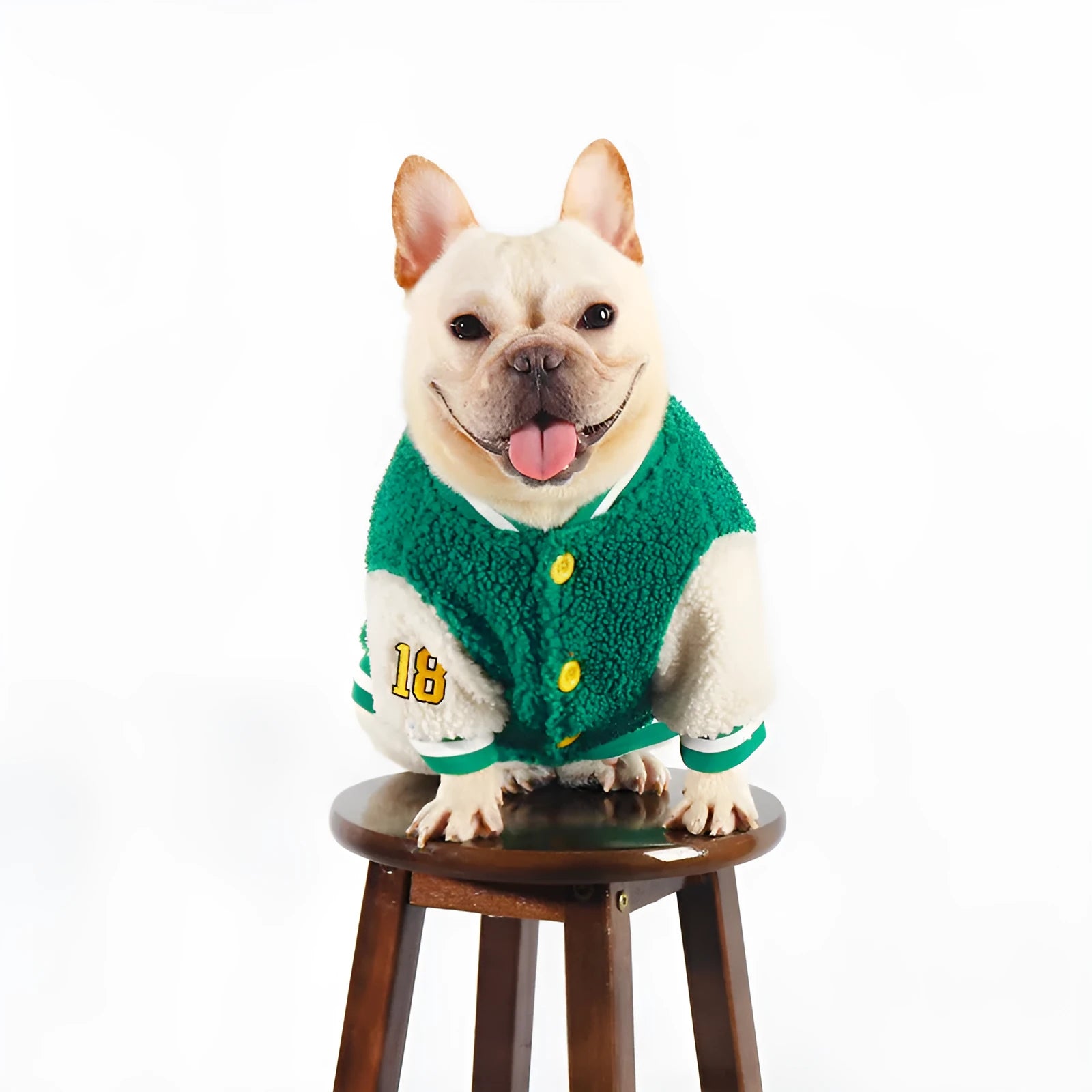 Green fleece-lined winter coat for dogs on larger breed in cotton fabric