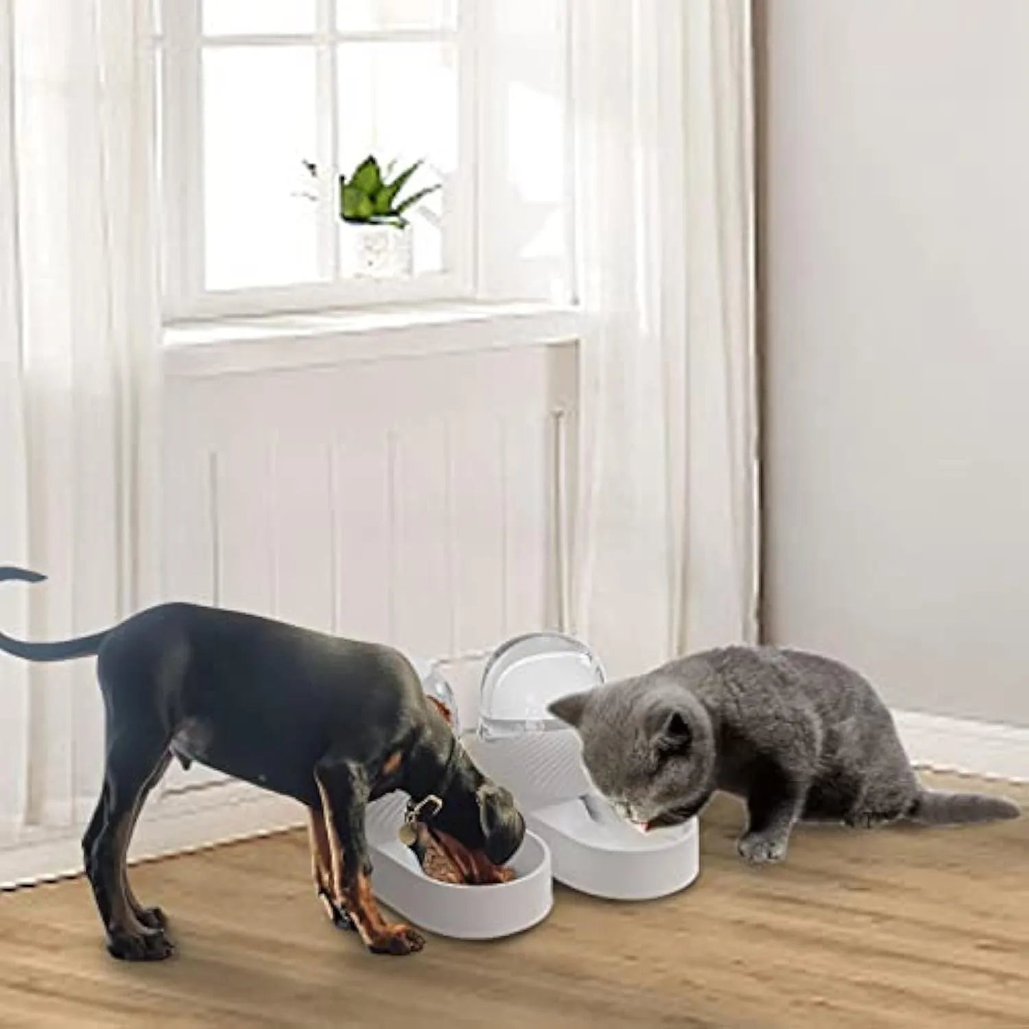 White automatic cat feeder and water dispenser set with 2 litre capacity gravity system