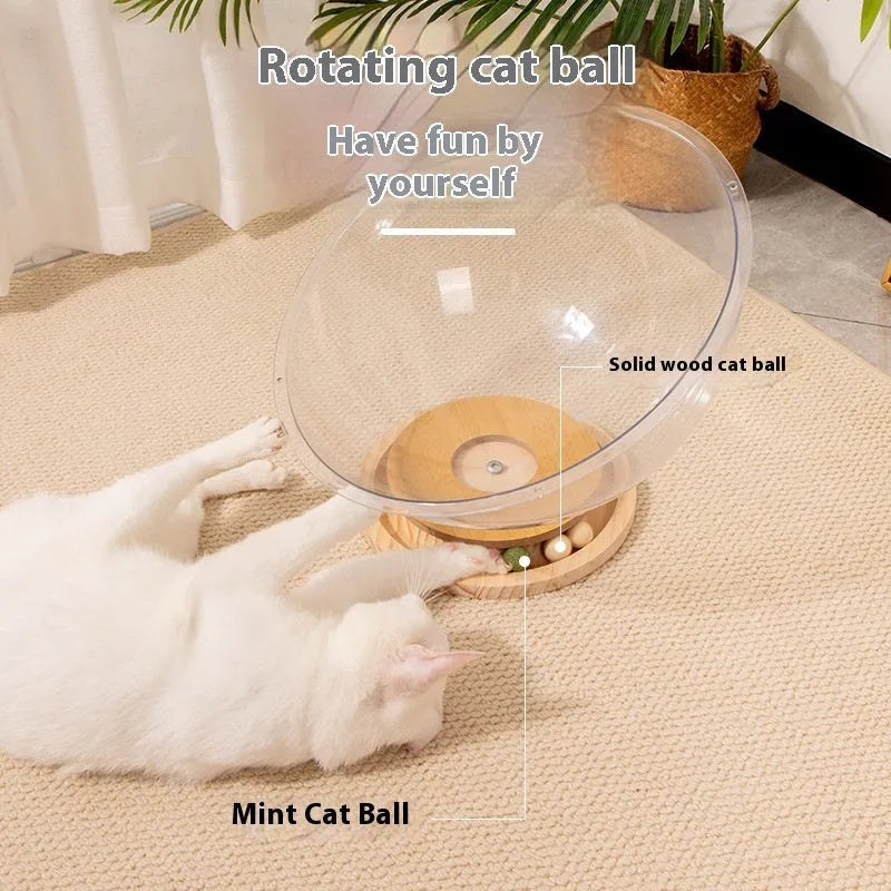 Transparent acrylic cat space capsule bathtub bed or cage on a wooden floor.