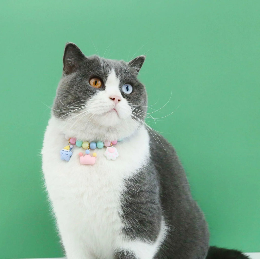 Macaron-themed colourful resin collar and bracelet set for cats or dogs in six design options.