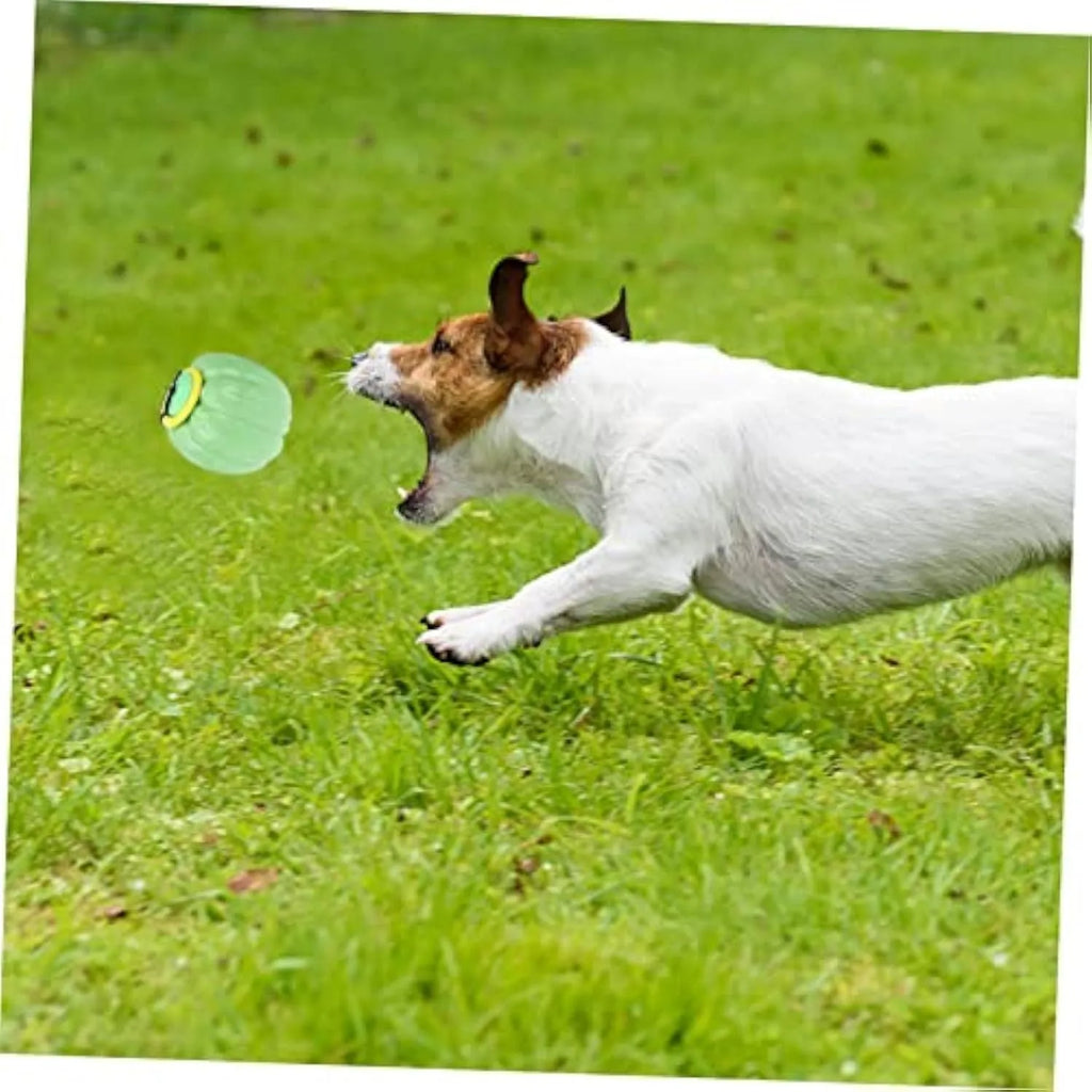 Green, orange, and yellow plastic pumpkin-shaped dog balls with a squeaker.