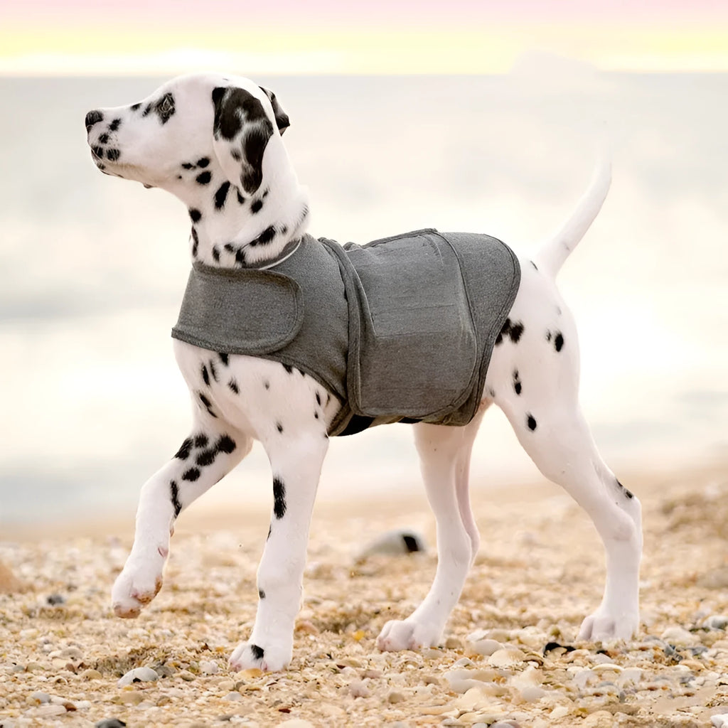 Heather Grey dog anxiety jacket or calming vest on a mannequin, showing soft fabric and secure fit.