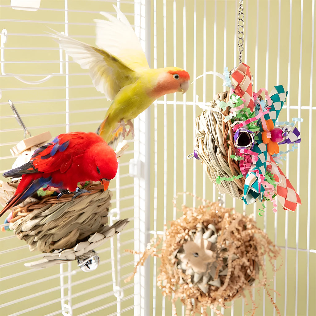 A wooden parrot gnawing toy for beak trimming and enrichment, shown with type options.