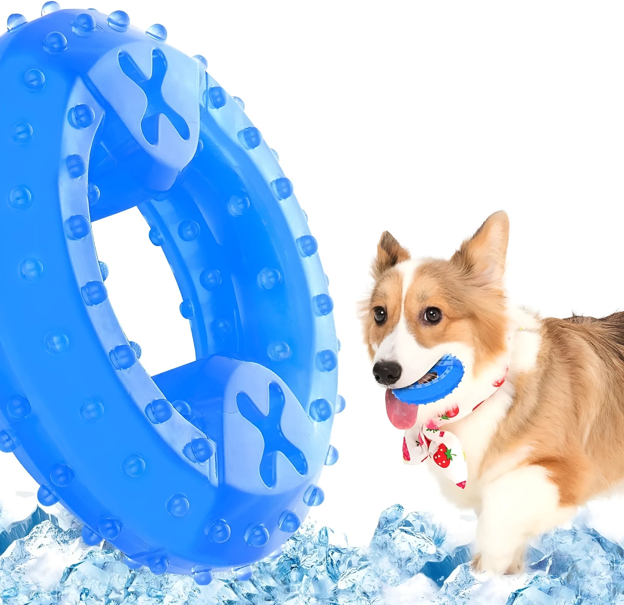 Freezable blue dog chew toy with textured surface for cooling and dental care.