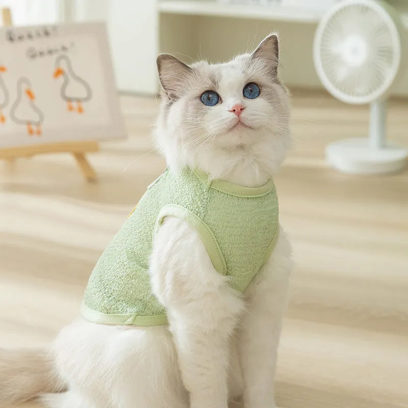 Cat wearing blue knitted clothing with bear patch and hollowed-out breathable design