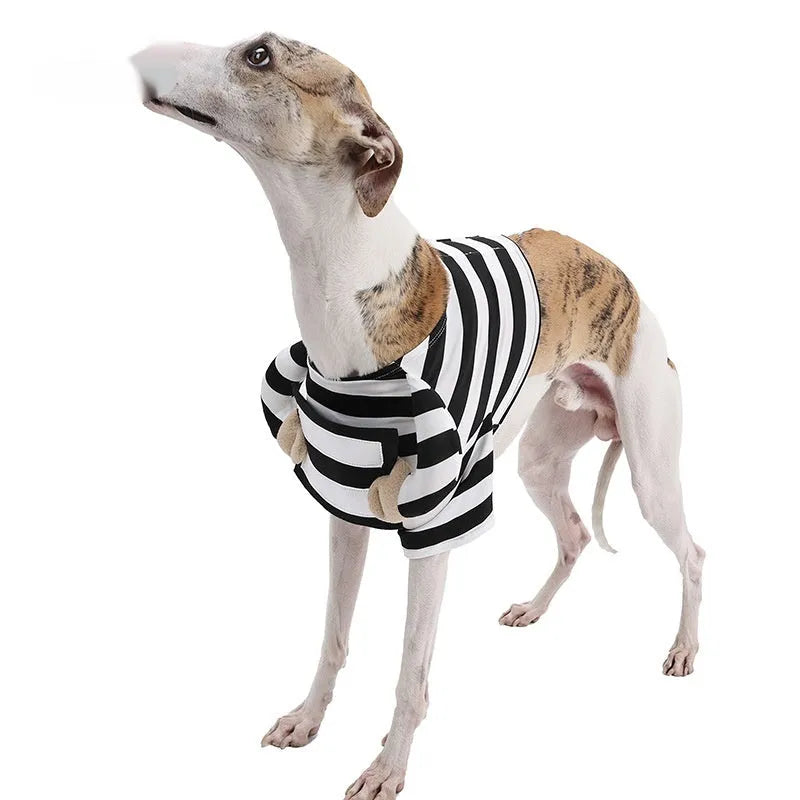 Black and white striped dog Halloween costume on a dog, made from polyester, available in sizes S to XL