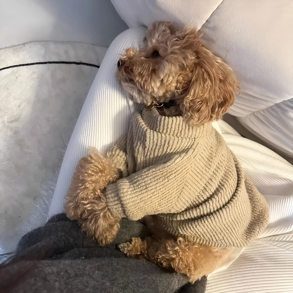 Brown cloth dog sweater pullover for small breeds on size chart showing XS to XL