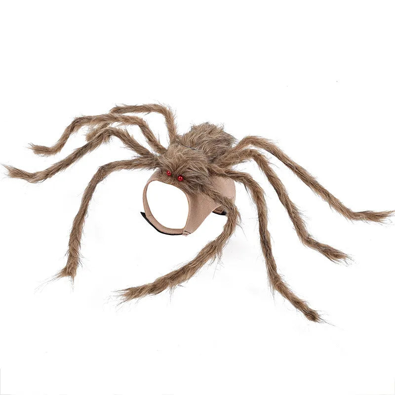 Halloween spider costume for pet dog or cat in black and purple colour