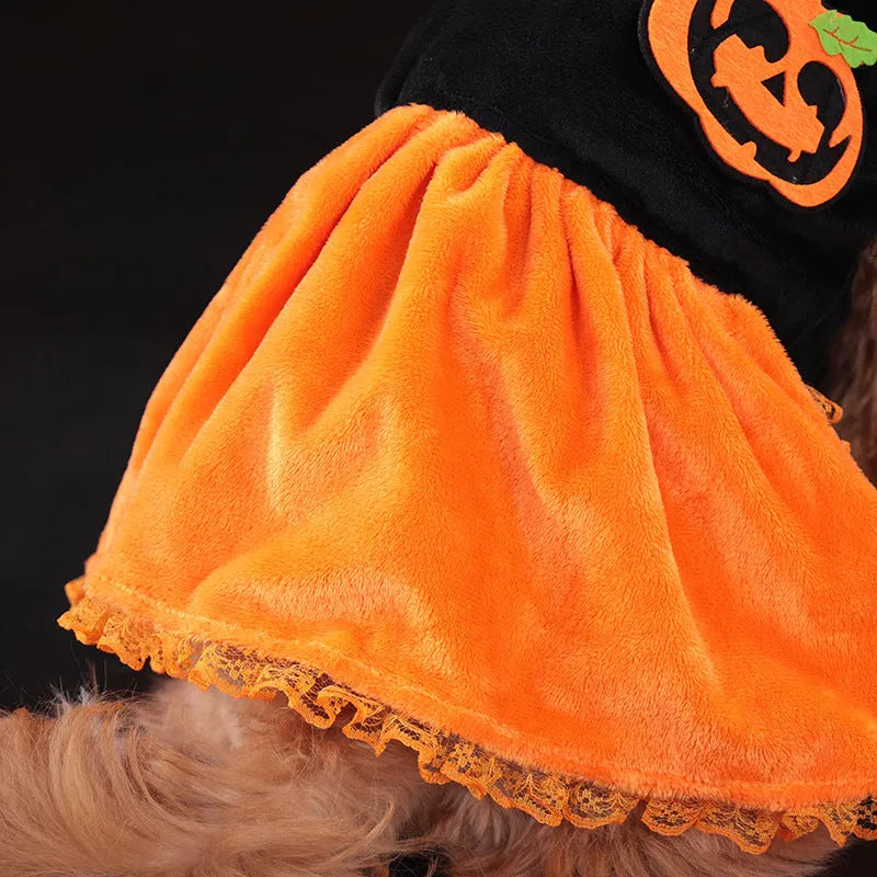 Halloween pumpkin costume for small dog, crystal velvet skirt and sweater options shown.