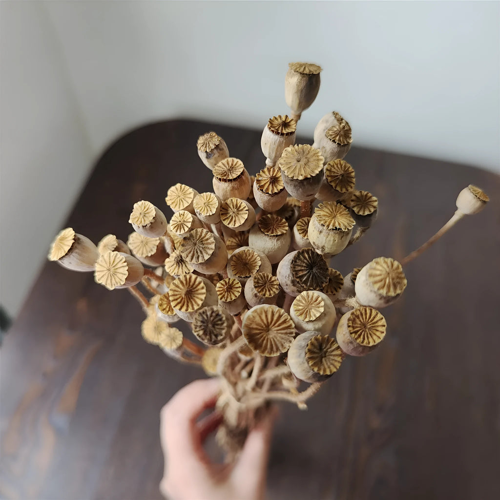Dried flower Yu Meiren fruit DIY material bundle in multiple colours for corsage and headdress making
