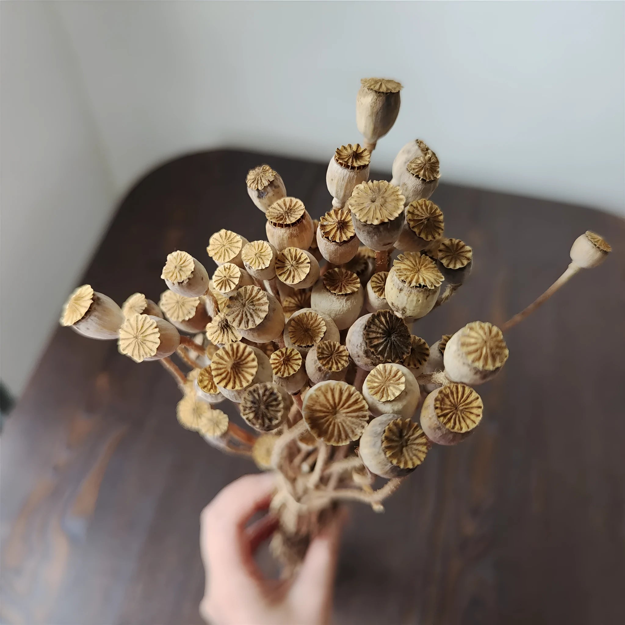 Dried flower Yu Meiren fruit DIY material bundle in multiple colours for corsage and headdress making