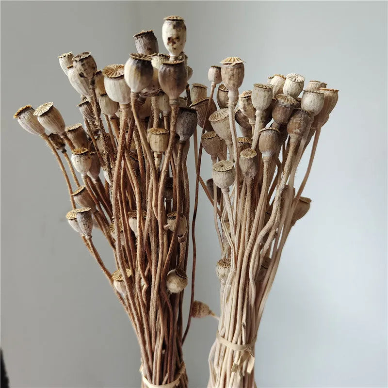 Dried flower Yu Meiren fruit DIY material bundle in multiple colours for corsage and headdress making