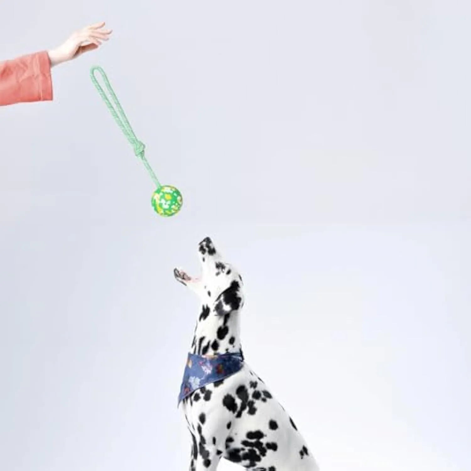 Natural rubber and bamboo fibre dog rope ball toy with nylon rope for medium and small dogs