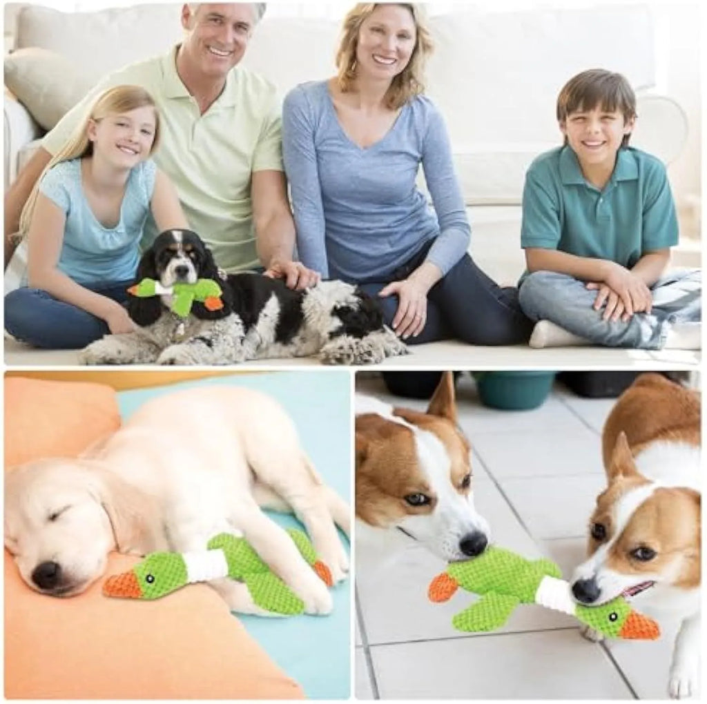 Blue durable plush duck dog toy with two squeakers for chew and fetch play.