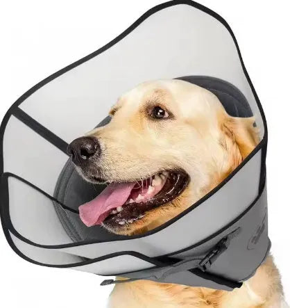 Adjustable polyester pet recovery collar in sizes L, M, XL showing single and double layer options.