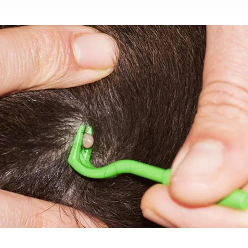 Three plastic pet tick removal clips in blue and green colours for cat and dog parasite control