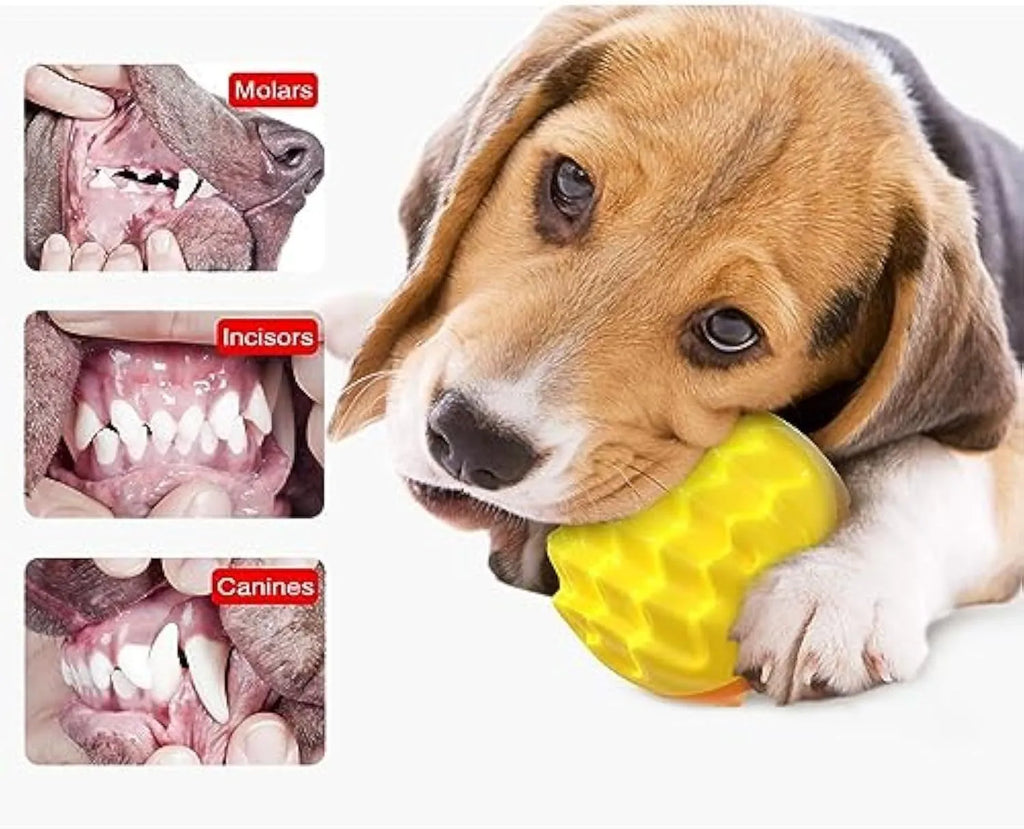 Blue rubber dog ball toy with spiky texture and squeaker for dental cleaning and water fetch
