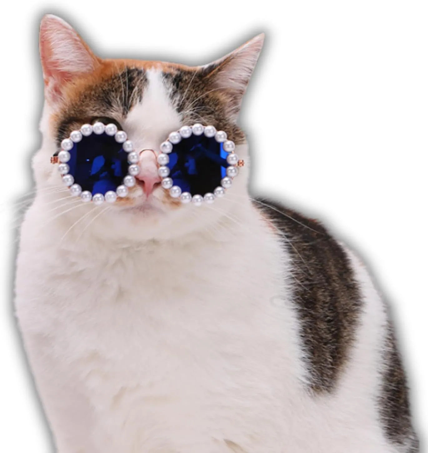 Pearl-rimmed round sunglasses for cats and dogs in five colour options with two size choices
