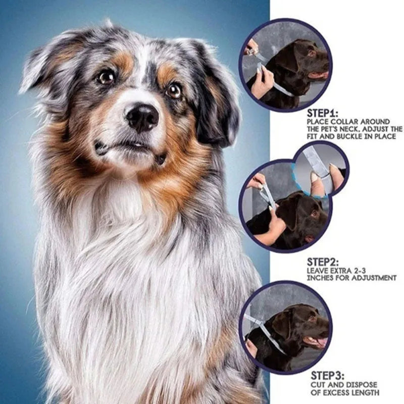 Rainbow plastic anti-lice collar for cats and dogs in 38cm and 62cm sizes