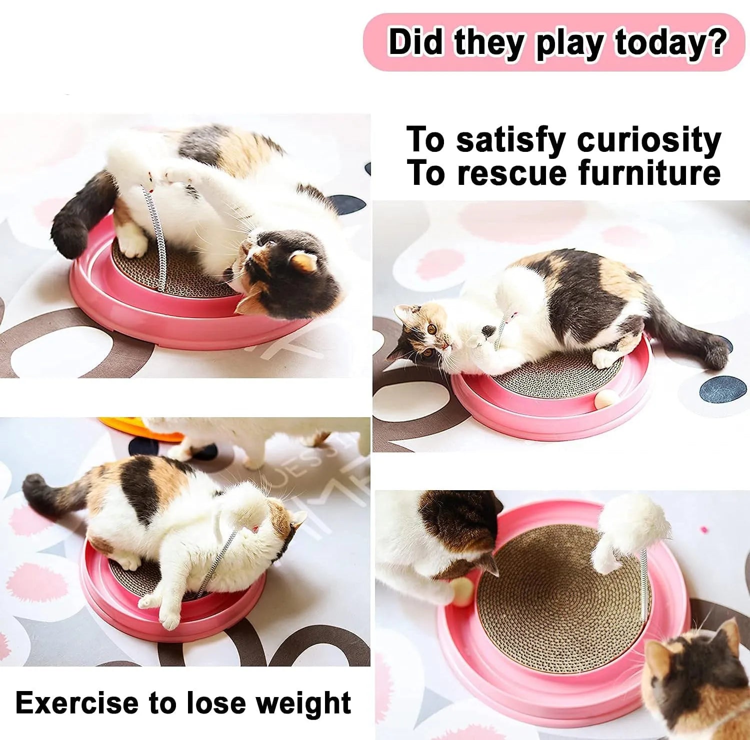 Blue interactive cat scratcher toy with a round scratching pad, ball track, and a mouse swatter on a circular base.