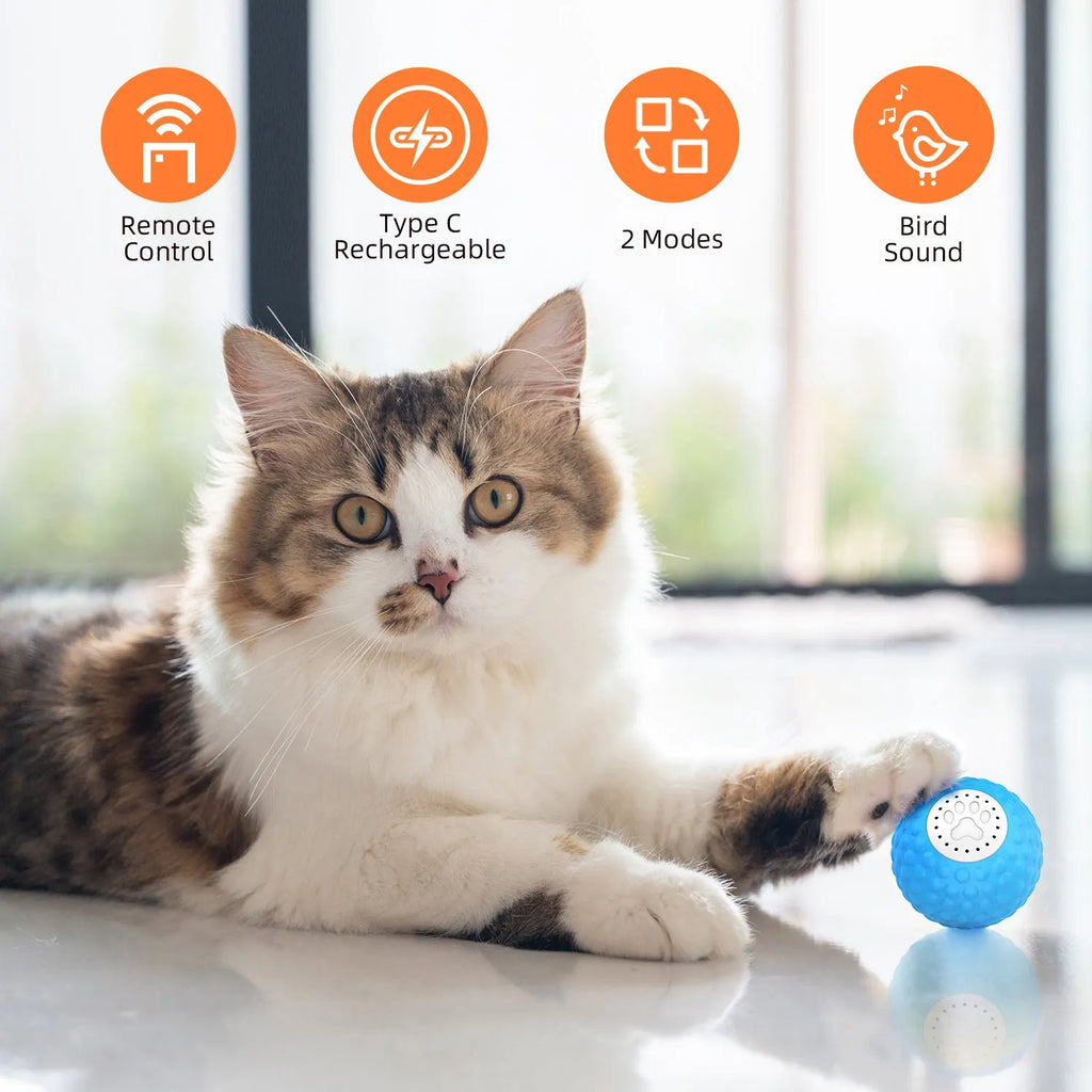 Remote control cat ball in blue, green and yellow colours with rolling motion and sound features