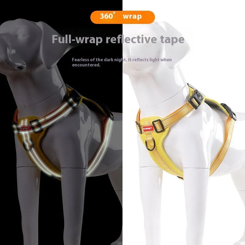 Adjustable polyester dog chest harness and matching lead shown in one of six available colours.