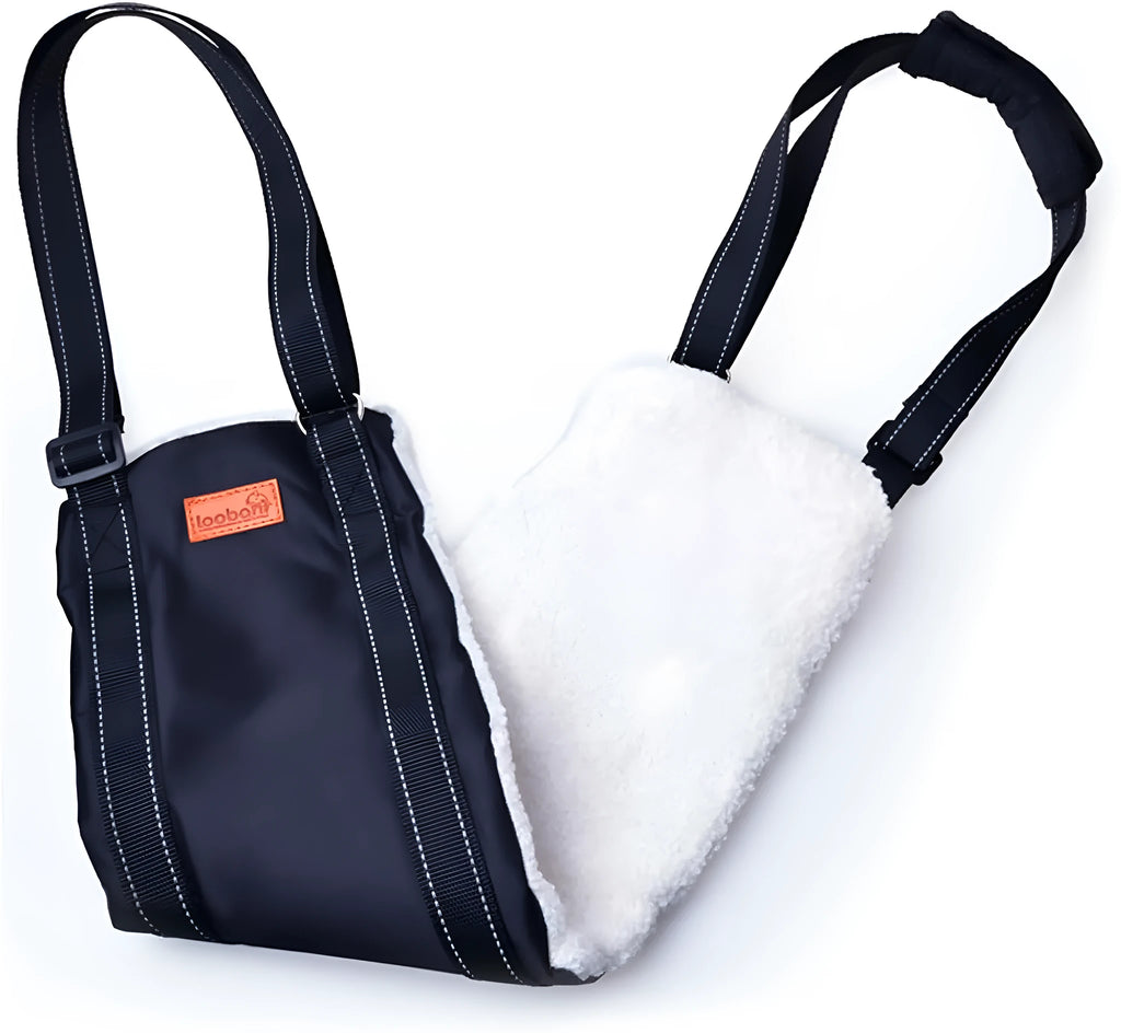 Adjustable dog mobility sling supporting a dog's hindquarters with reflective nylon straps.