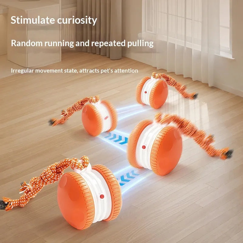 Rechargeable orange rolling ball pet toy made from durable ABS plastic with automatic movement for cats and dogs