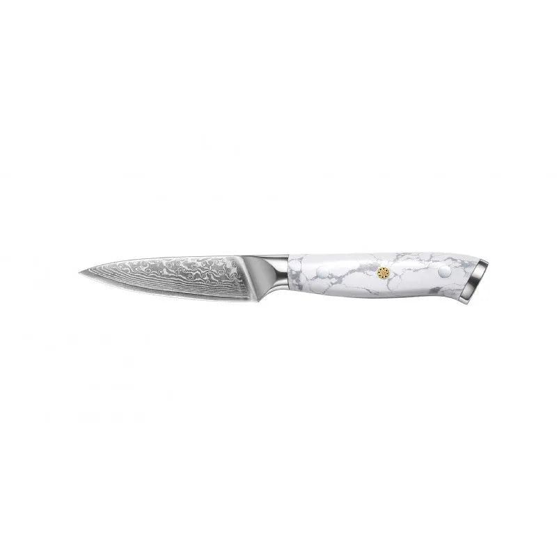 Damascus pattern VG10 steel chef knife with 21cm blade and 11cm handle for kitchen use