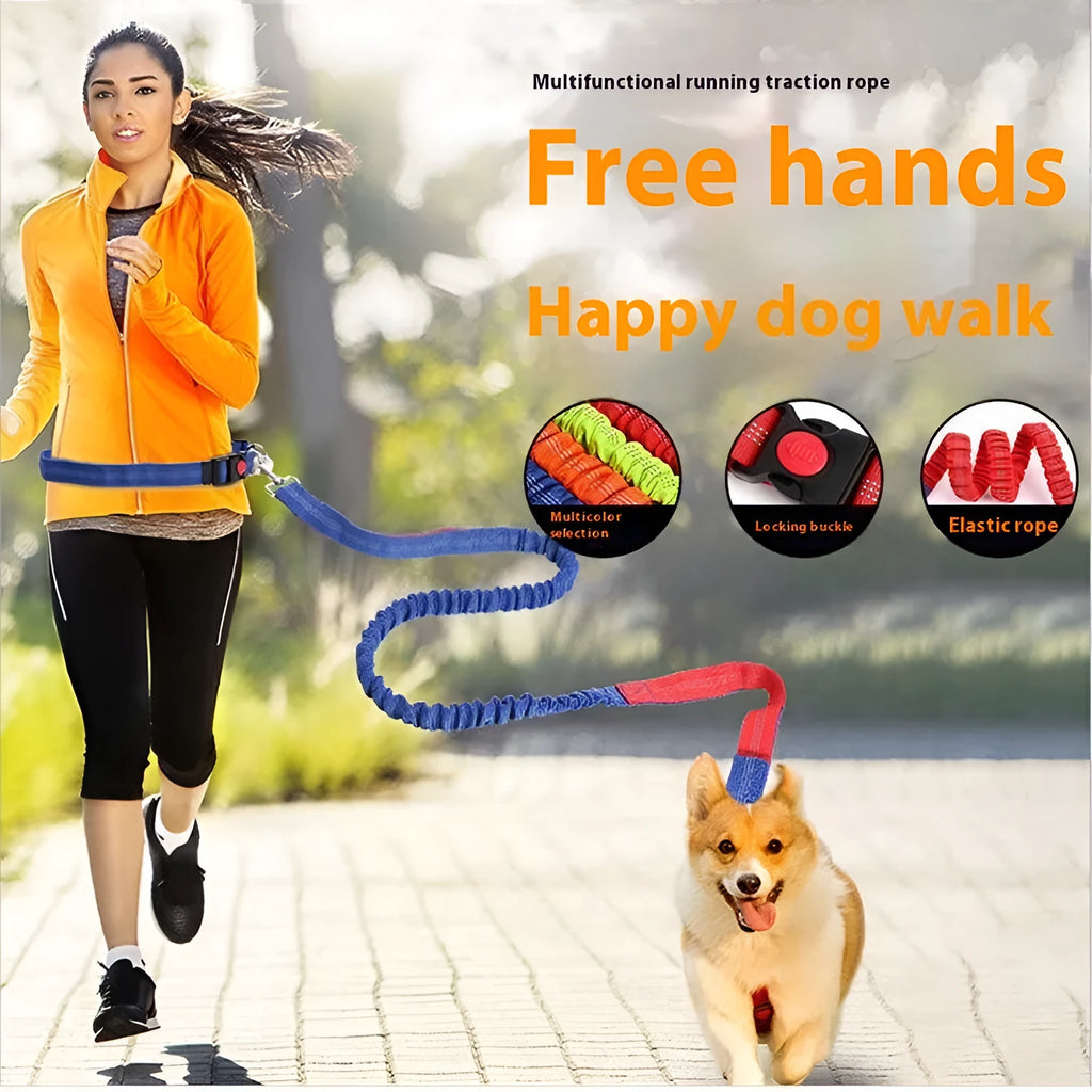 Reflective nylon dog leash with elastic sling in multiple colour options for outdoor running